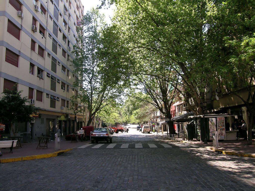 Calles de San Telmo by gory011