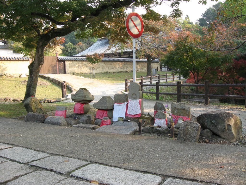 東大寺 by Roman SUZUKI