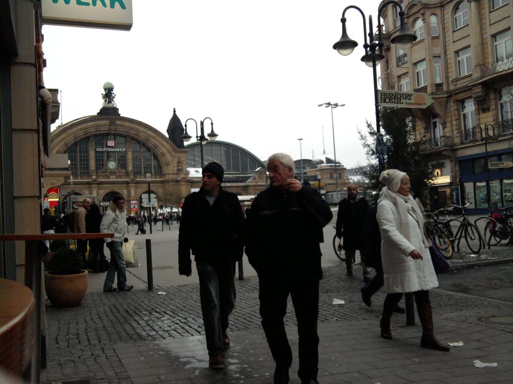 Frankfurt Hbf 2 by Manuel W