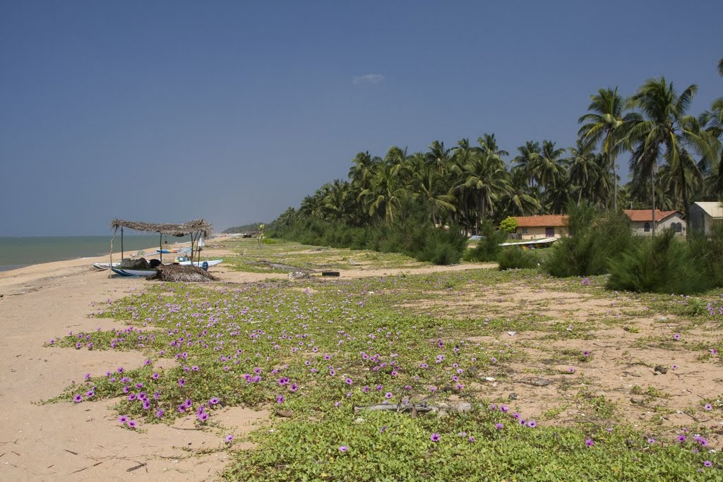 Club Palm Bay beach by olkakostenko