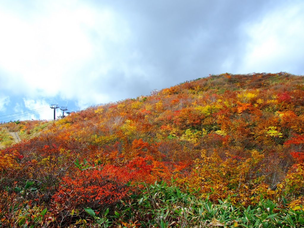 Glowing Fields of Autumn by Chouden Boy