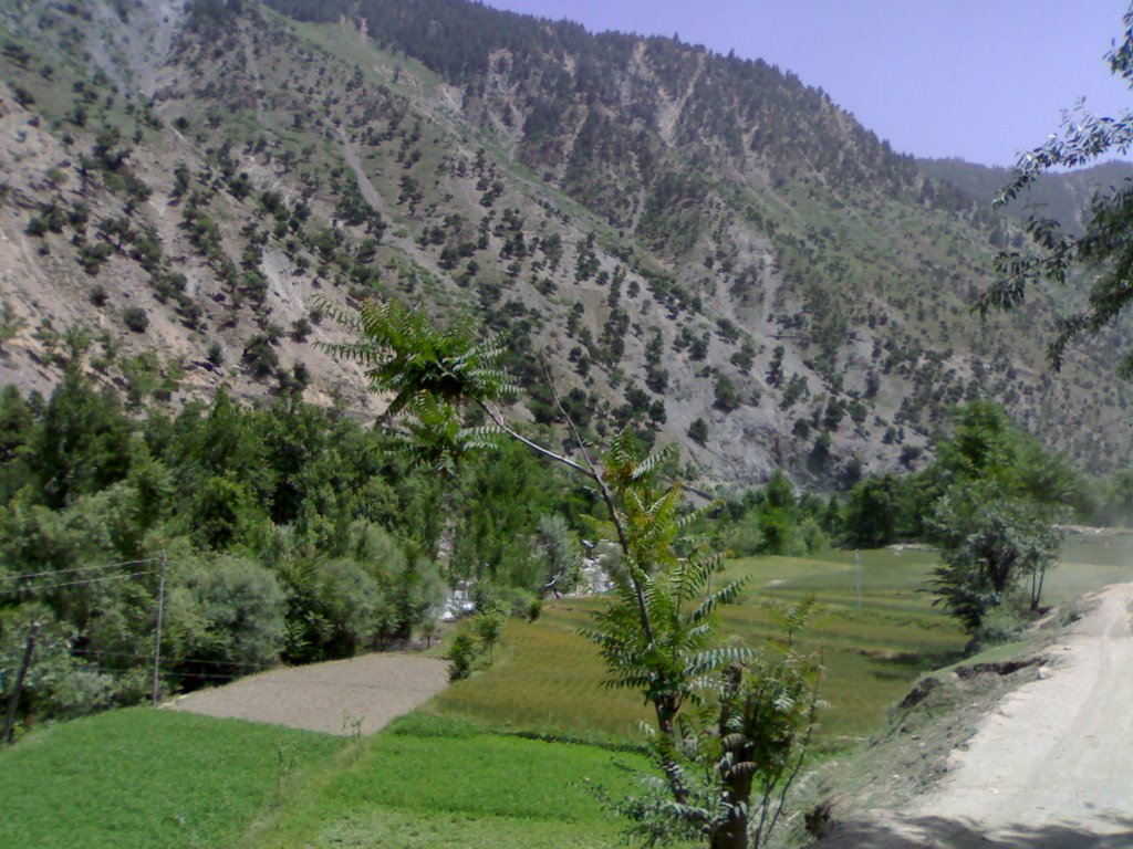 Bakrabad Chitral by Waheed Ashraf