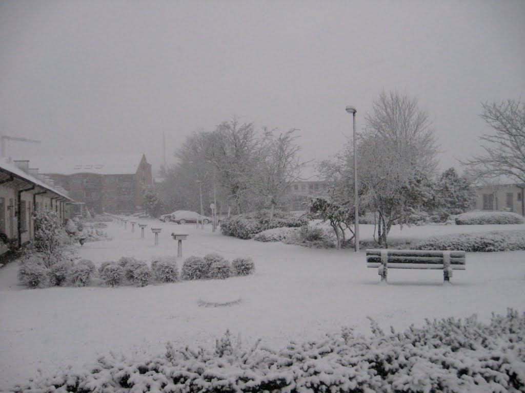 Moerbeke Waas Sneeuwtapijt by joeri Goossens