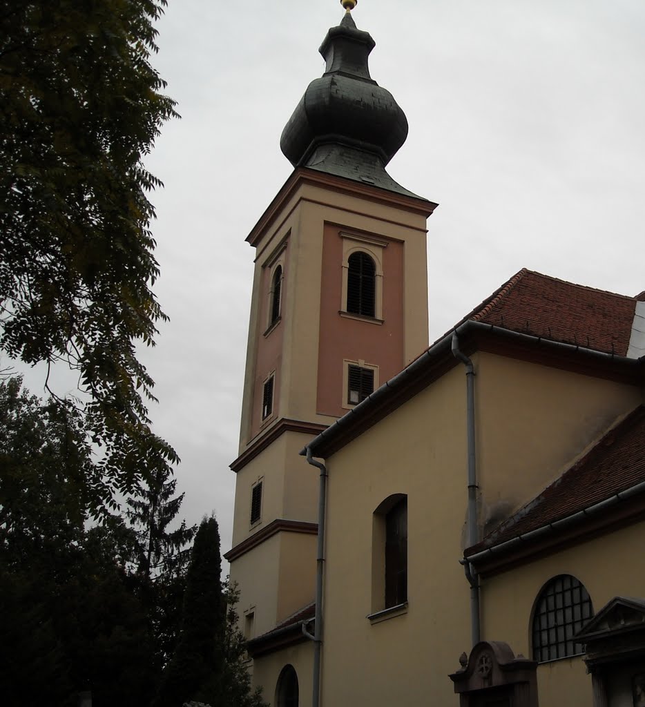 Church of Saint Martin of Tours Szombathely by Tatomir Ion-Marius