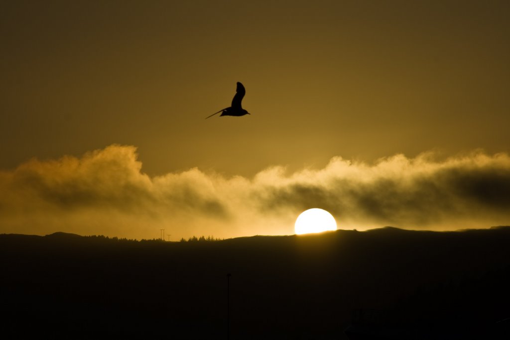 Sunset at Herøy, Norway by Uwe Bücher