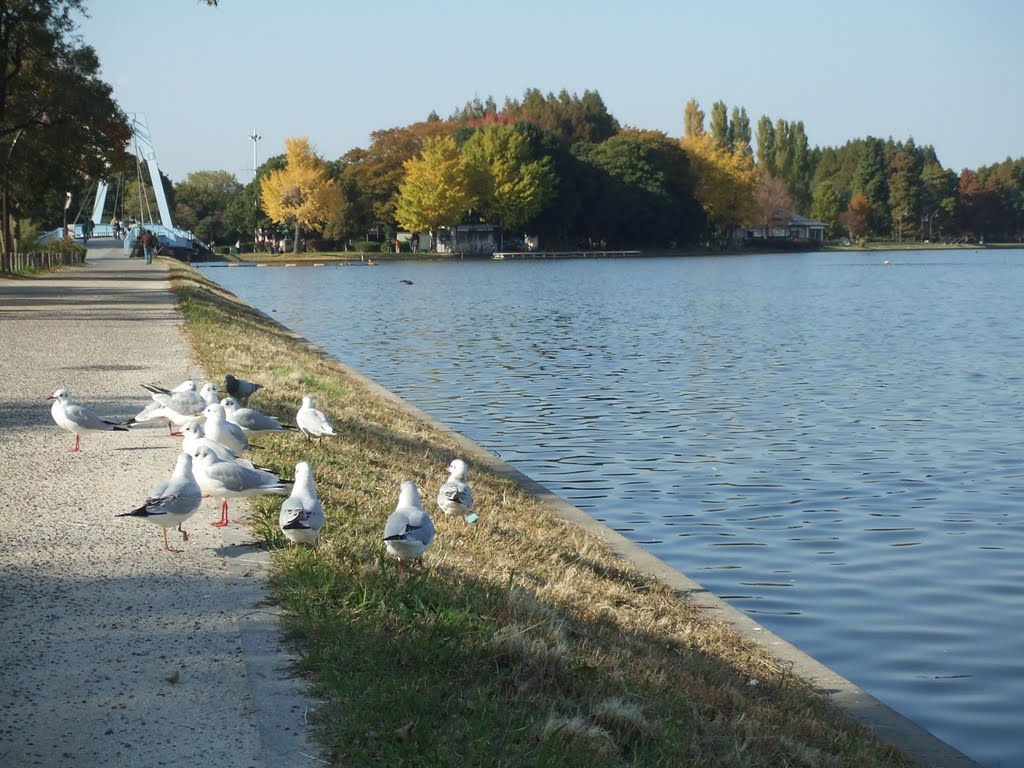 水元公園 by ClearMIC