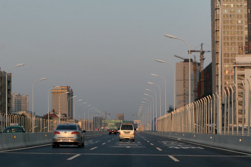 Changjiang West Road Viaduct 长江西路高架桥 by Lion113