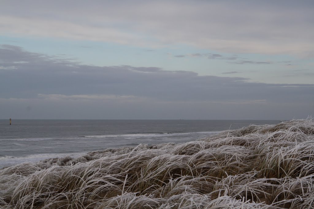 Texel by Dirk