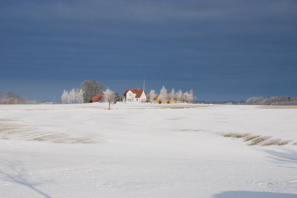 Sne 8 marts Østerlars by Claus Andersen. Ejna…