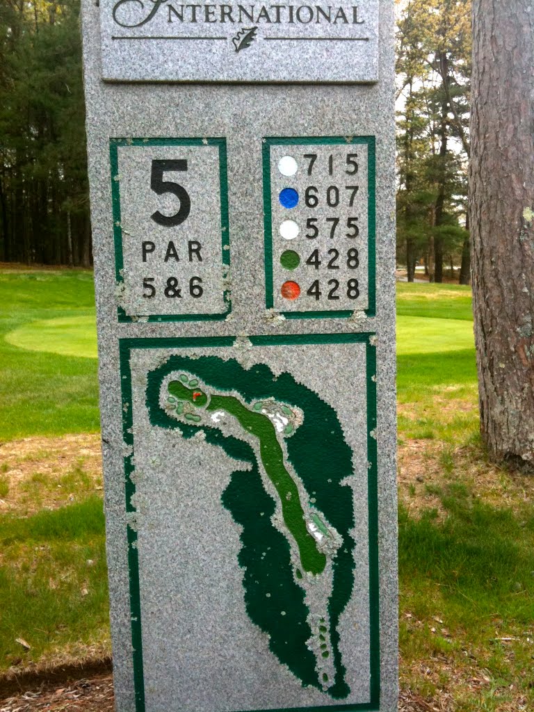 Longest par 6 in the usa by harry mitch U.S.A.