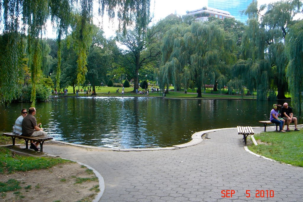 Boston common by harry mitch U.S.A.