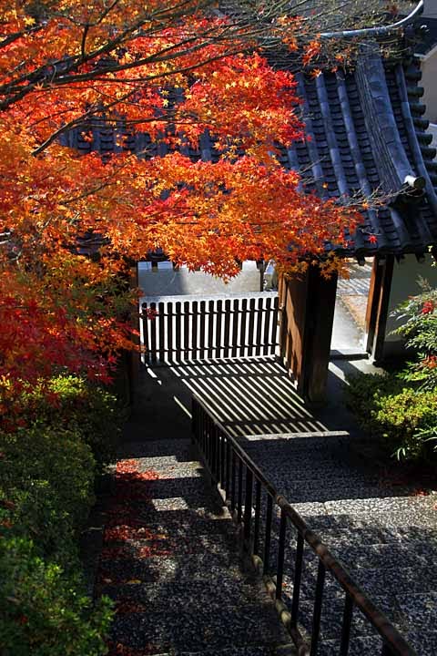 Hashidera Temple by nutakku