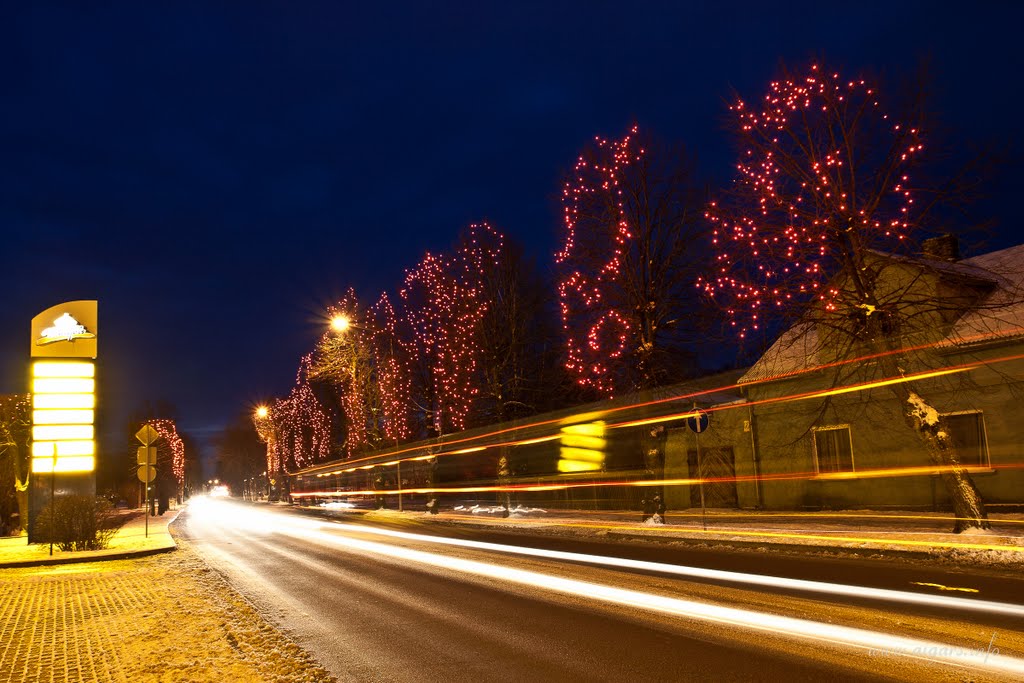 Winter in Ventspils by Aigars Reinholds