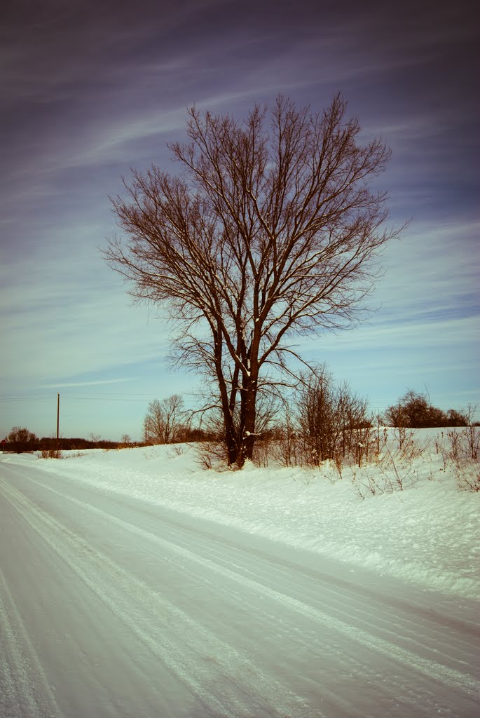 Brockton, ON, Canada by D.R.Lamont