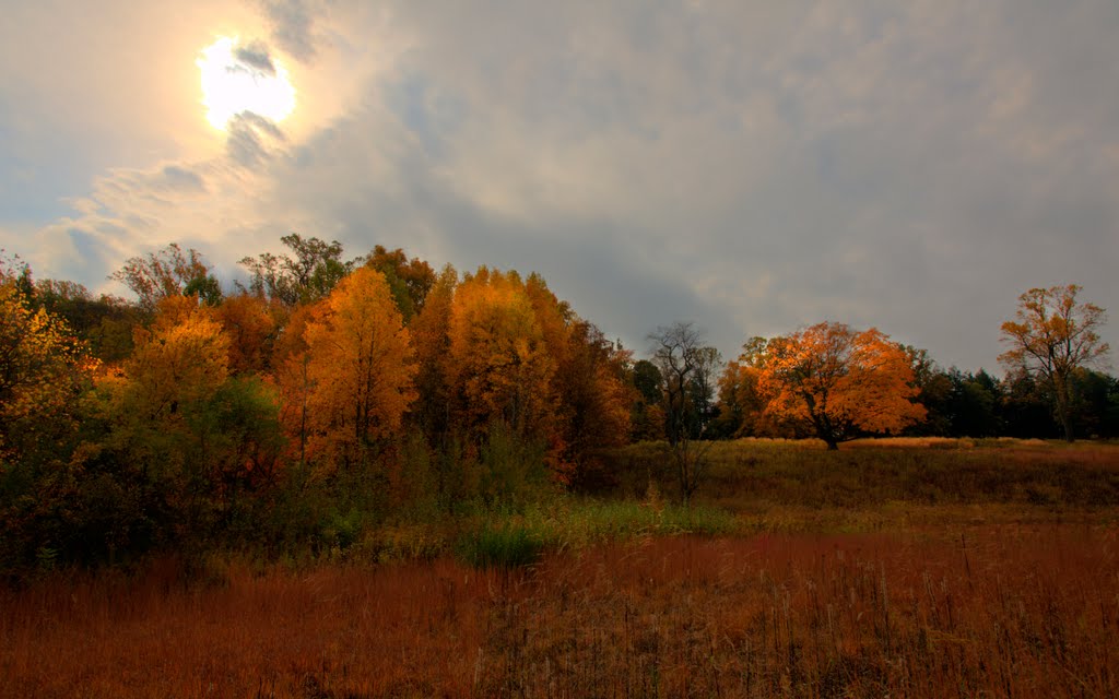 Fall Colors by Mike Schuelke