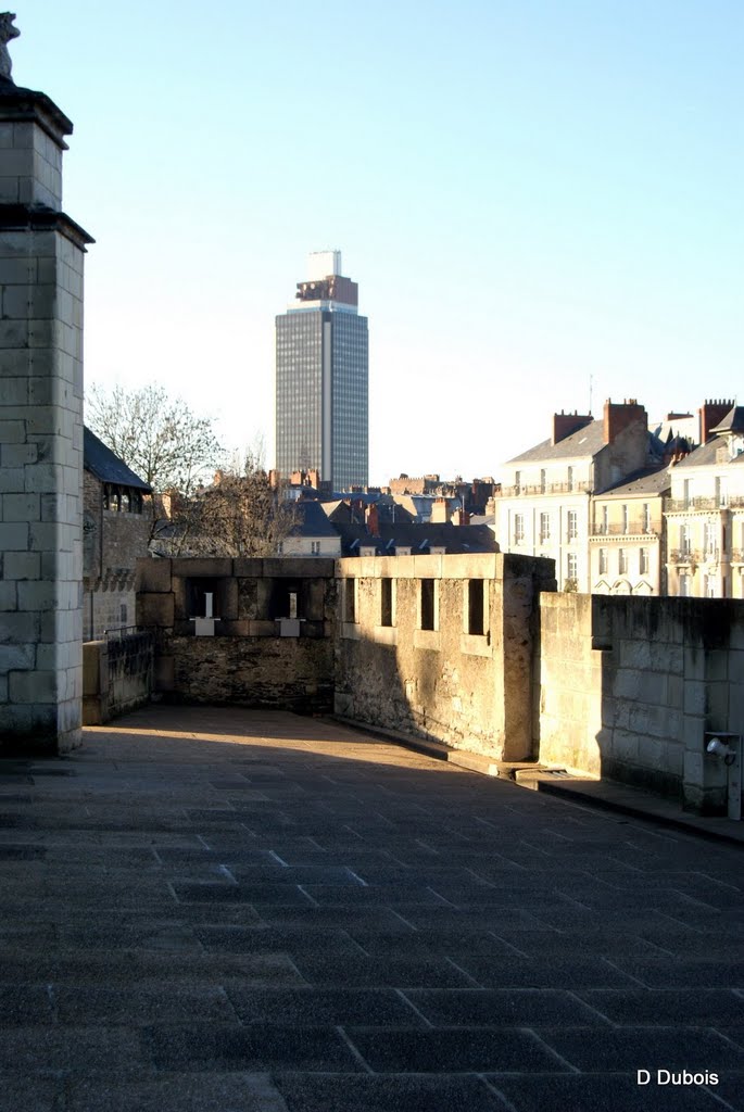 La tour bretagne vue des remparts du chateau de Nantes by Dubois dominique