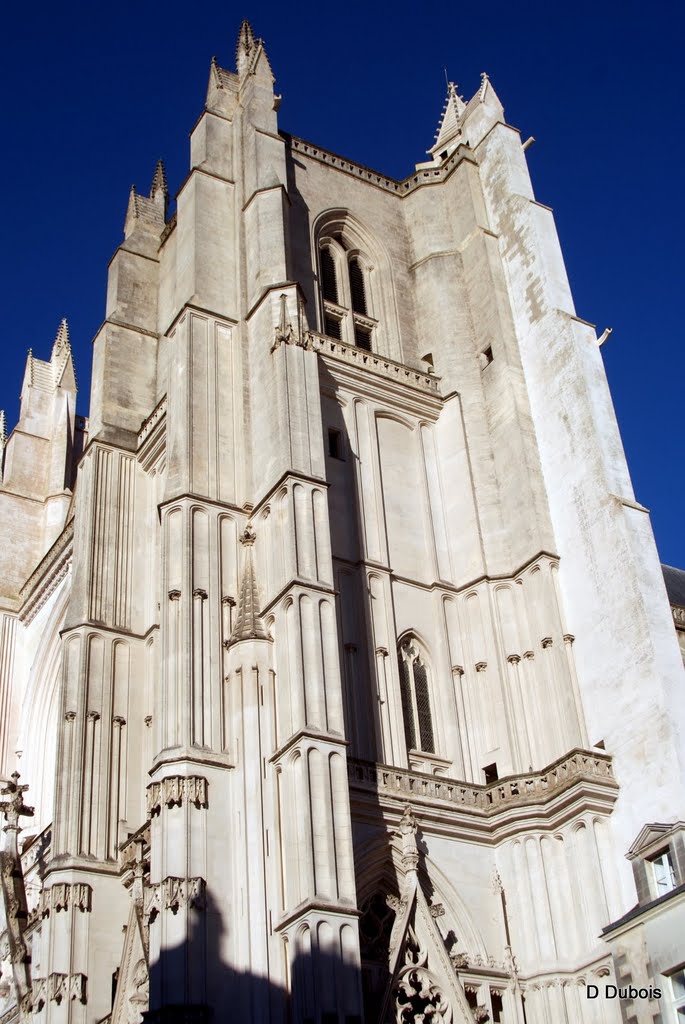 St Pierre de Nantes by Dubois dominique