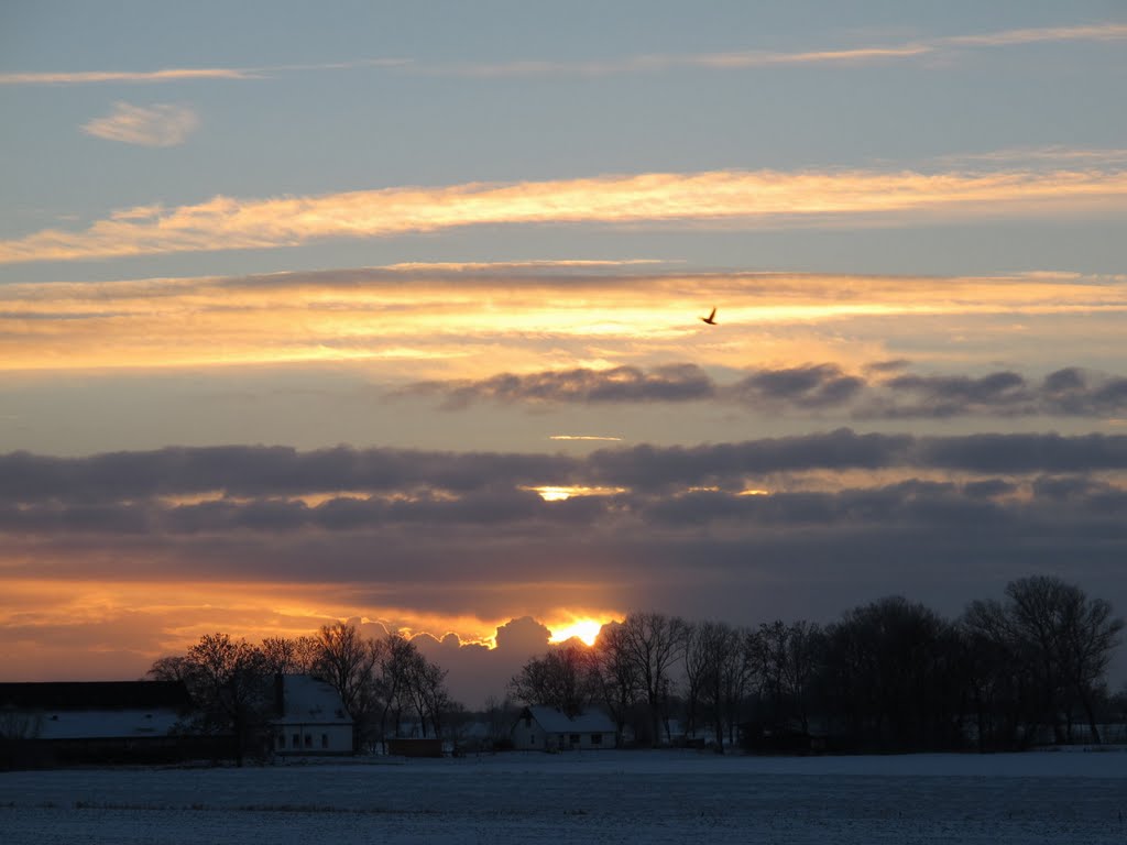 Abendflug by Vincent Hoogland