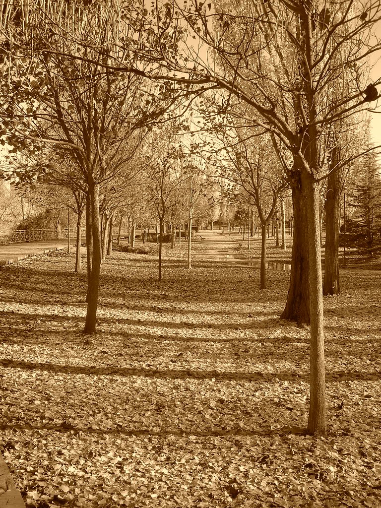 Parque , Isla dos aguas, Palencia by ©-Miguel A. Rodríguez Terán