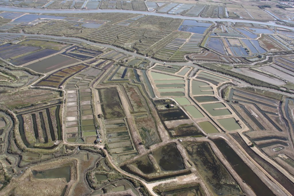 Vue aérienne des marais de Mornac sur Seudre by joel.herbez