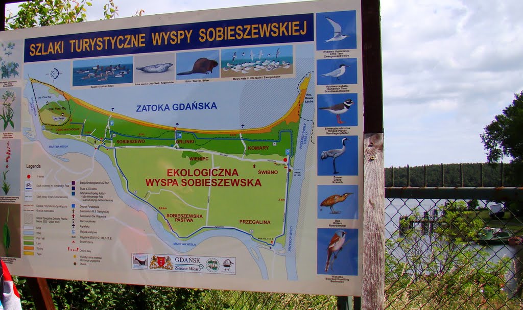 Mapka Wyspy Sobieszewskiej by kaziuzlasu