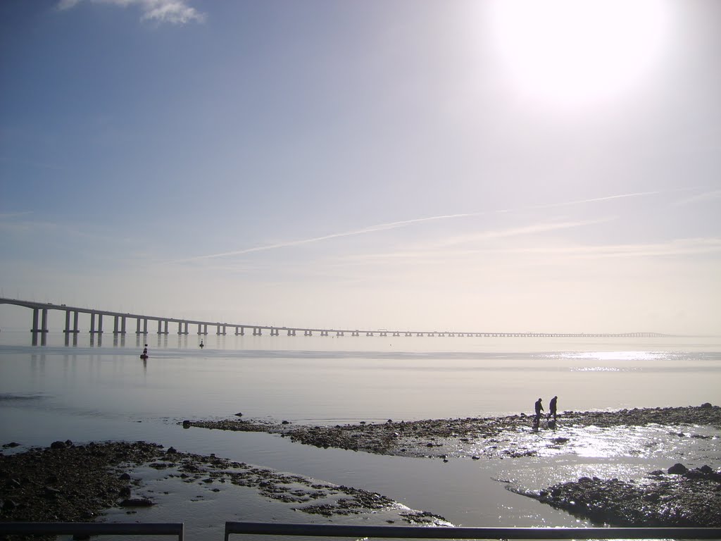 Ponte Vasco da Gama by hollecker