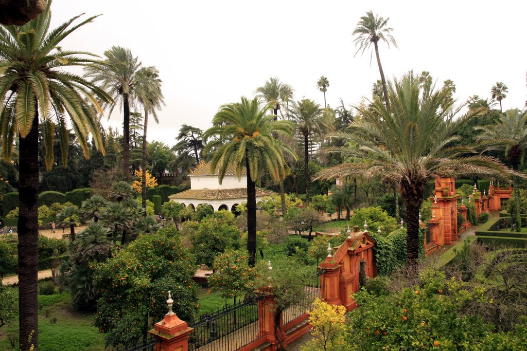 Jardines del Real Alcazar de Sevilla by CerrotorreCospeito