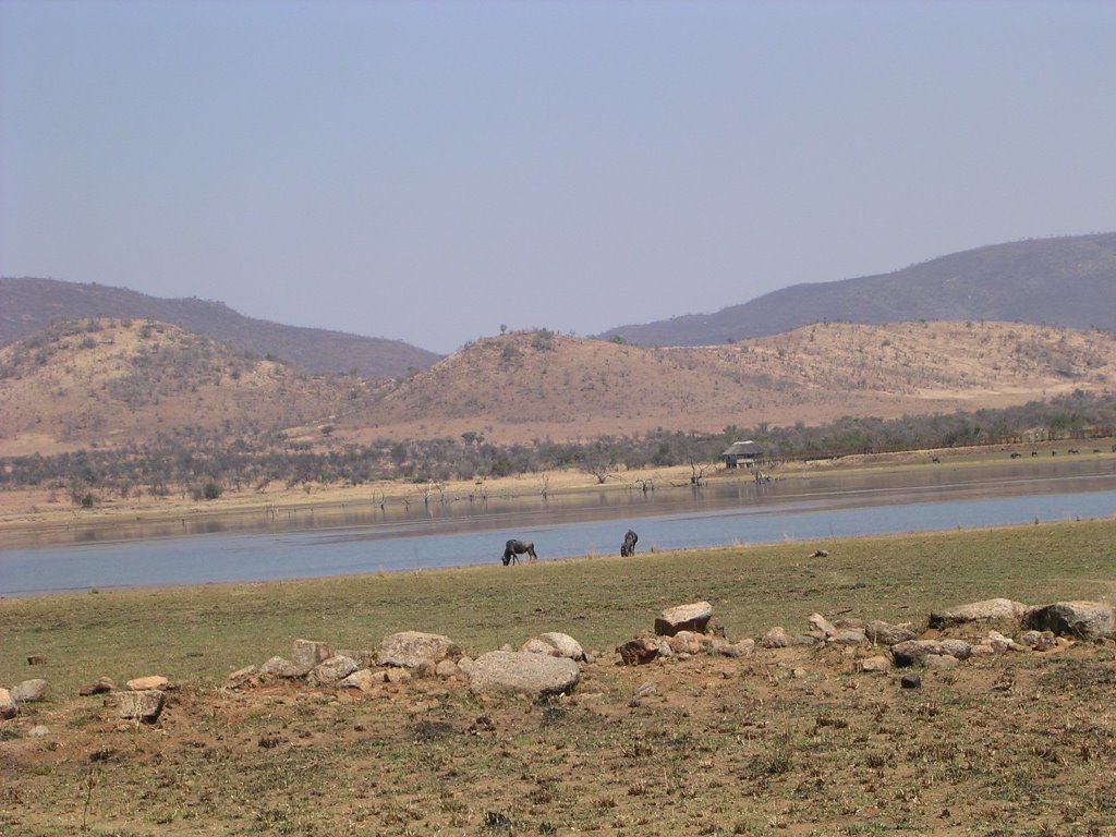 Mankwe Dam (Houtwaterdam), westside hide in background by Elmendorp