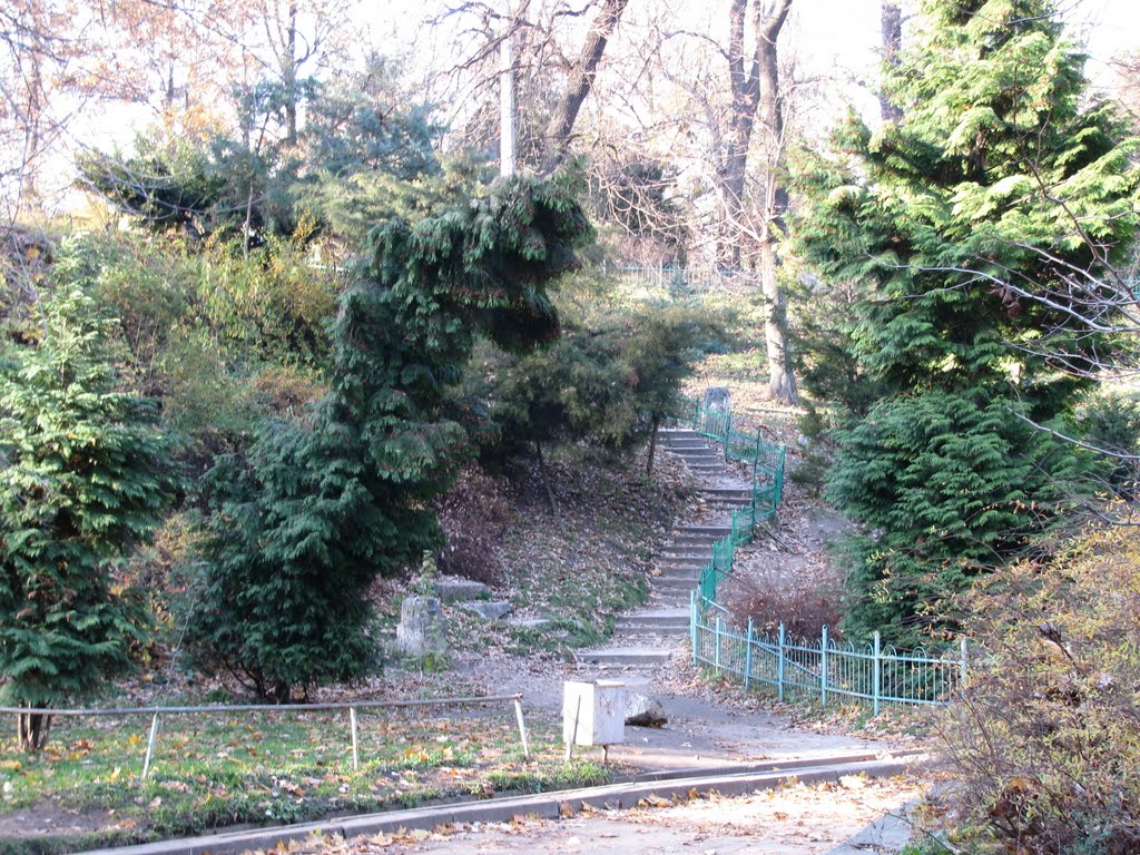 Botanical Garden O. Fomin by Vorontsov Vitalii