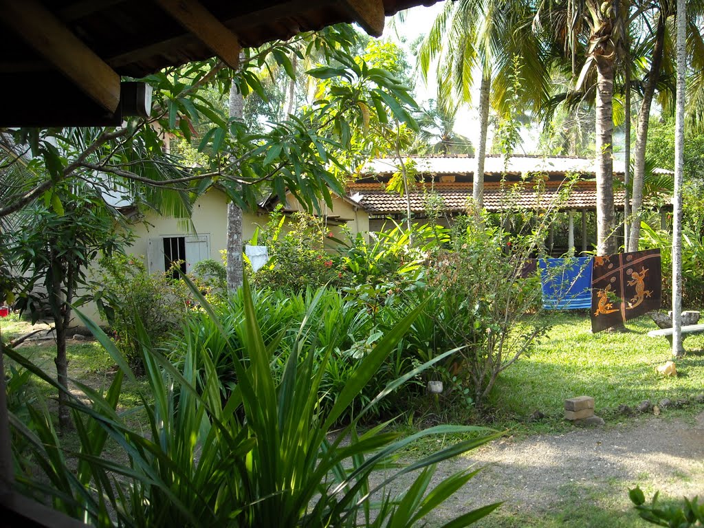 Calm rest resort mirissa sri lanka by salfoxy