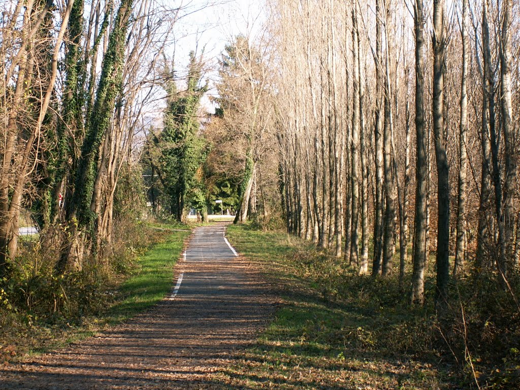 Fanna-pista ciclabile zona cementificio- by aldo.chittaro