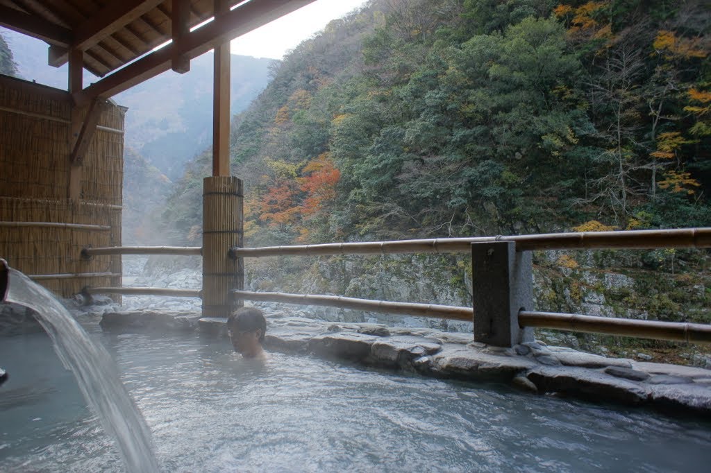 Hotel iyaonsen 祖谷温泉のケーブルカー by gingerluk02