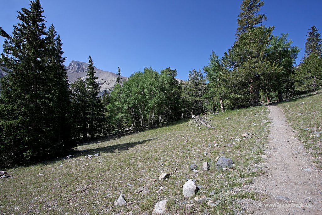 Great Basin National Park by Thomas Galenbeck