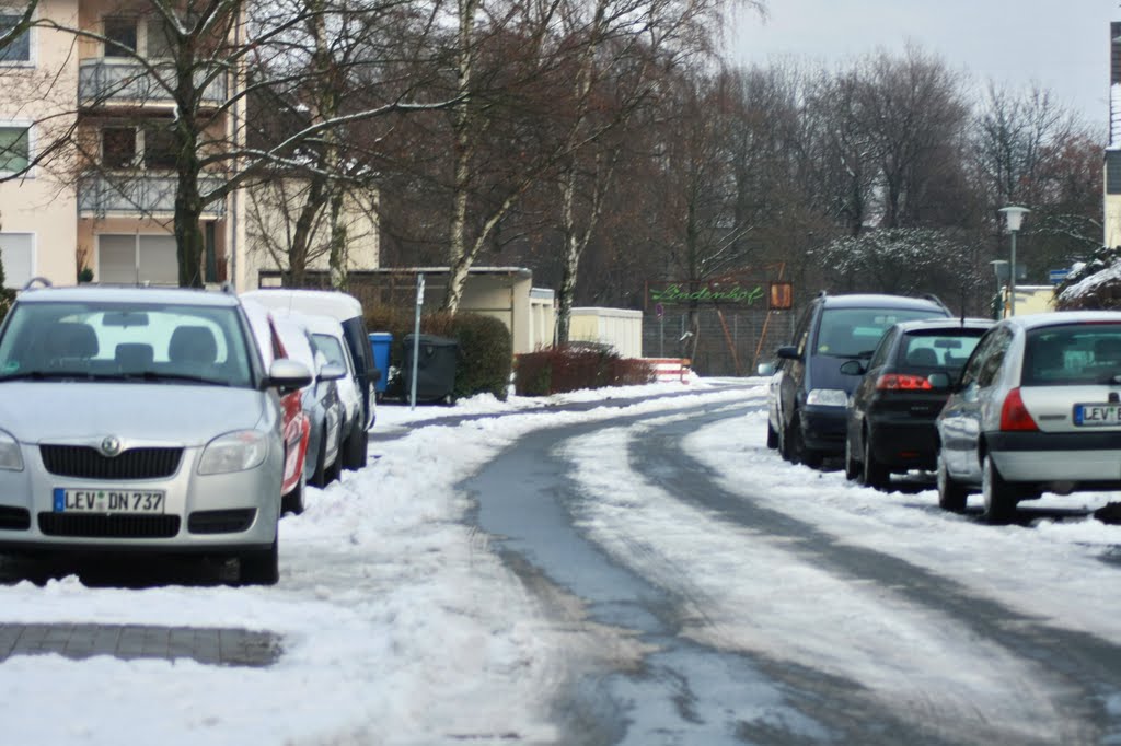 Stegerwald- Ecke Leginstrasse by sogesehen