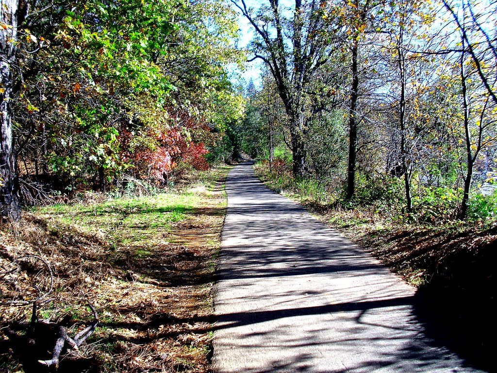 Fall On The Bike Trail by thunderbirdone