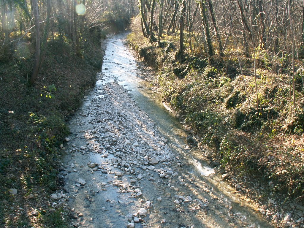 Fanna - Ruscello rugo Manarin - by aldo.chittaro