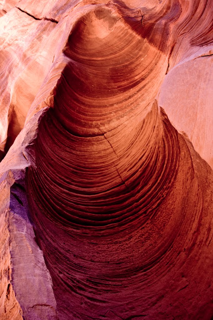 Buckskin Gulch, Vermillion Cliffs National Monument, Utah by Henrik Johansson