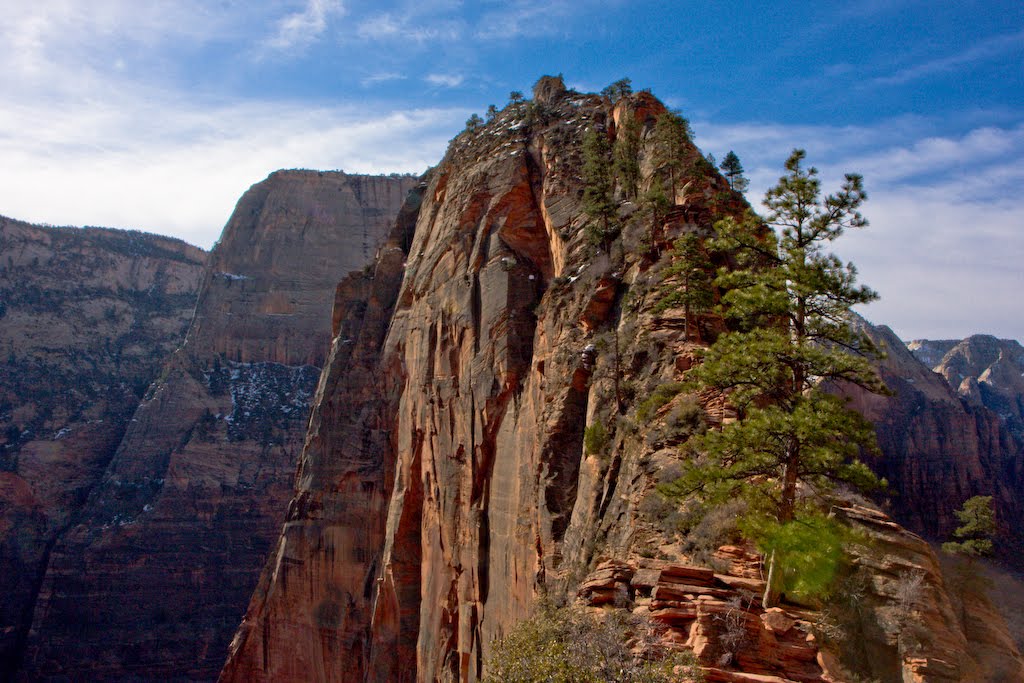 Angels Landing, Zion National Park, Utah by Henrik Johansson