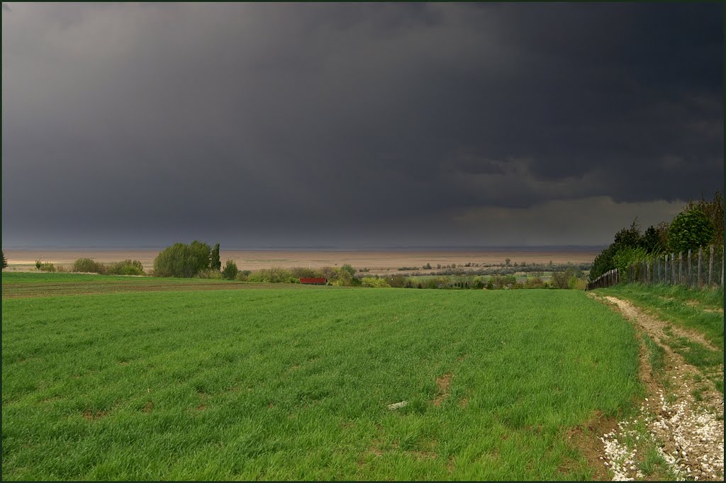 Távolban a Fertő tó by János Nagy