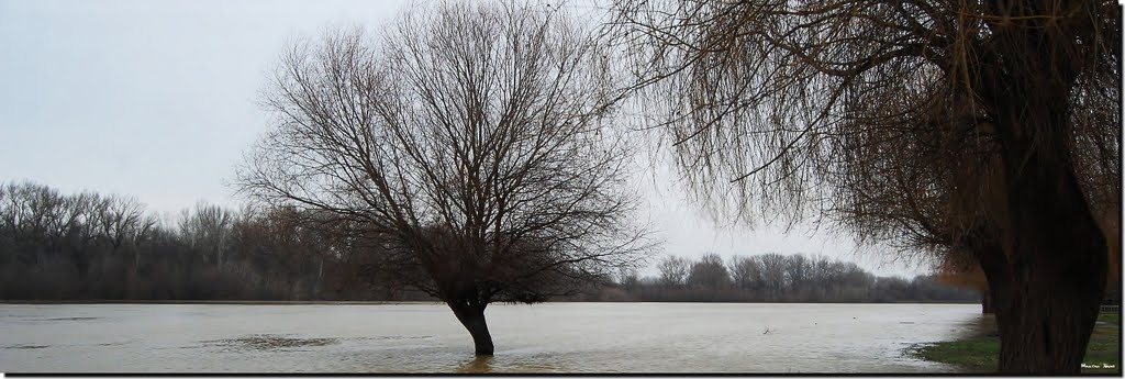 Decemberi Tisza... by Martini János