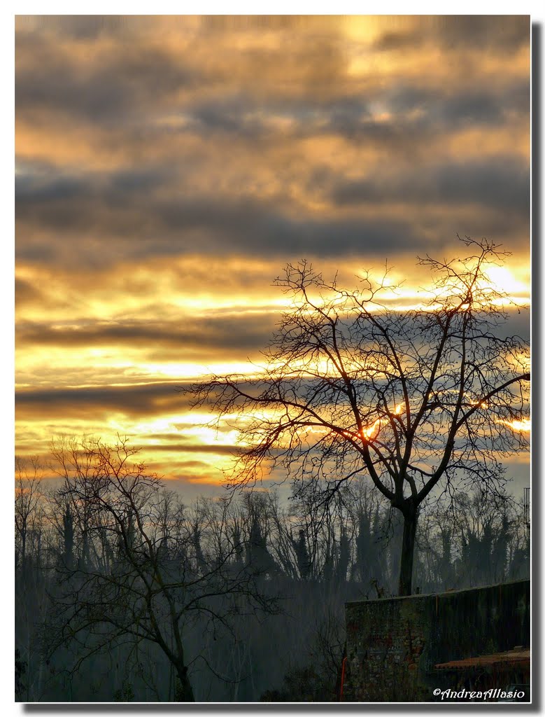 Il sole tramonta dietro all'albero spoglio, Carrù by Andrea Allasio