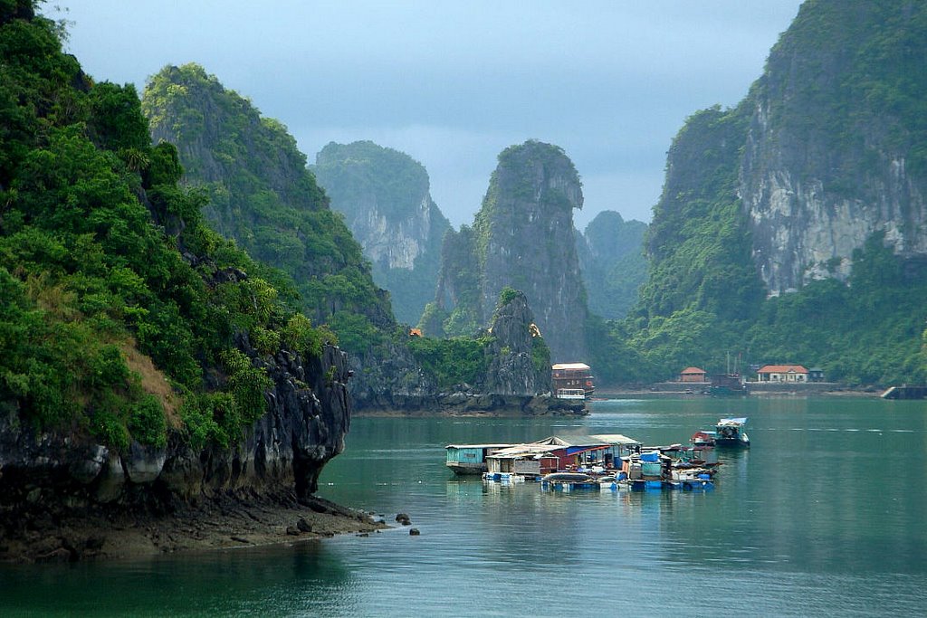 Swimming fisher village on Halong Bay by the Golftraveller