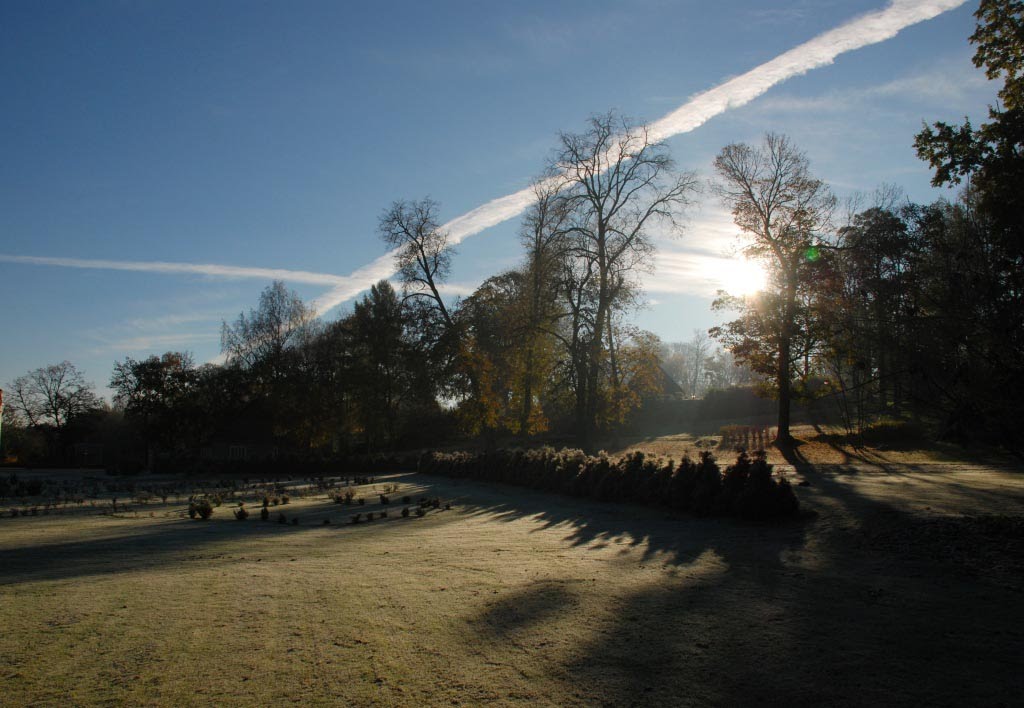 Šaltas rytas ir pėdsakai danguje (cold morning) by Žaltys