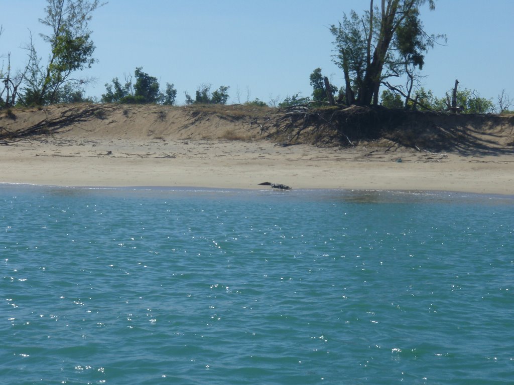 Croc on Shore,Cobourg Peninsula, NT by LEE TUXFORD