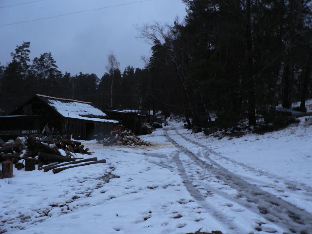 Задами-огородами.... by Sus'