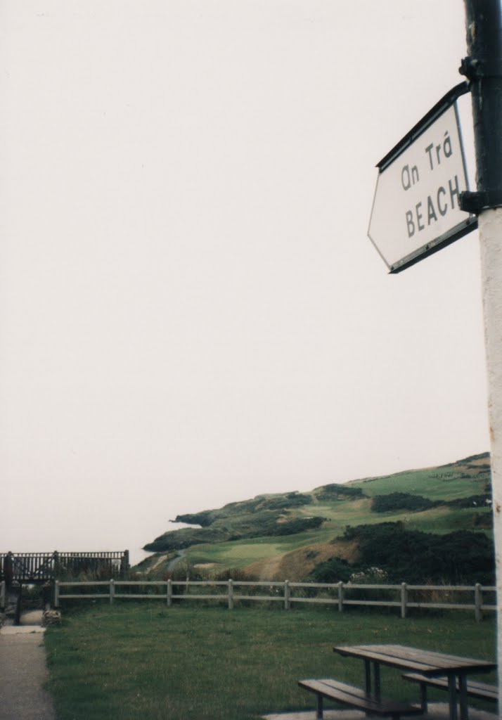 Corporation Lands, Co. Wicklow, Ireland by Dai Nipponjin