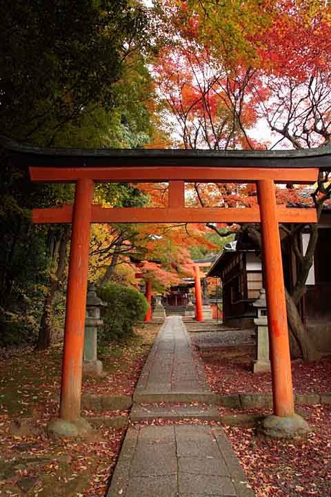 Takenaka-inarisha Shrine by nutakku