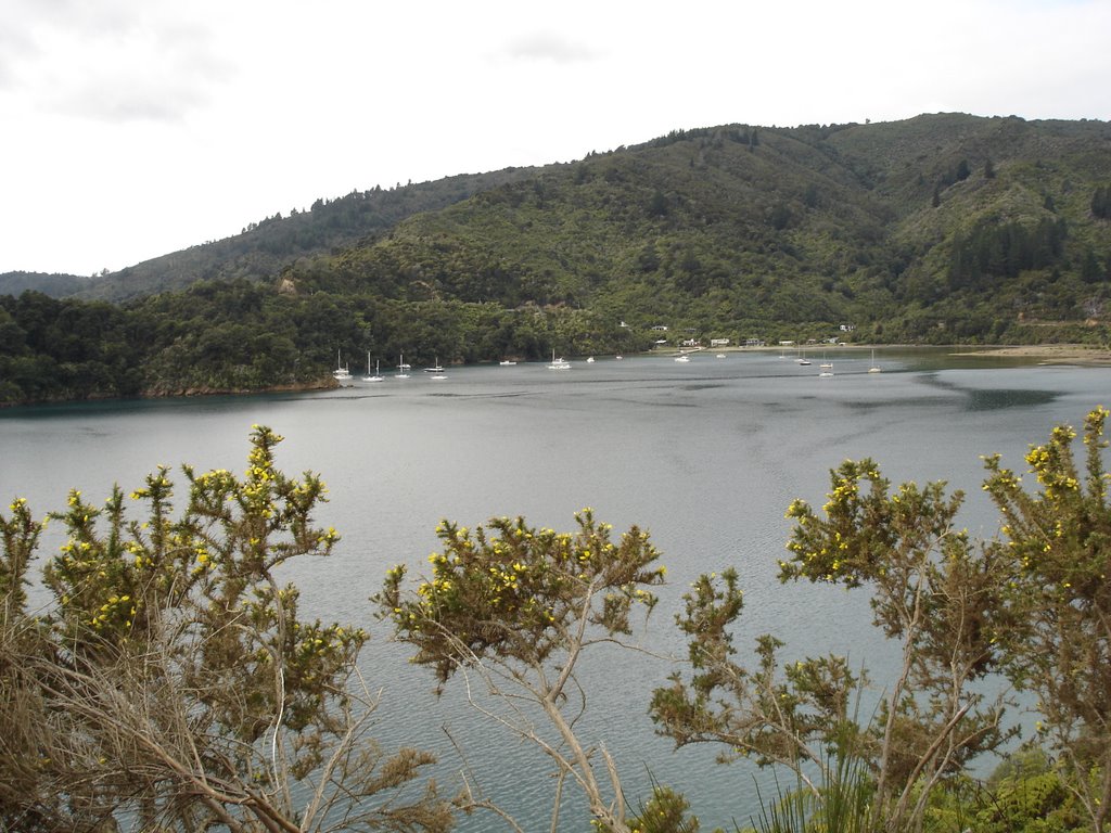 Ngakuta Bay by Kubisch