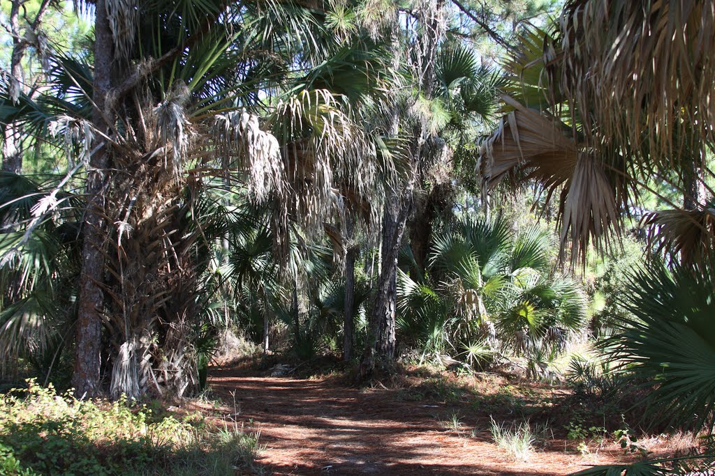 Natural trail by heikki.enberg