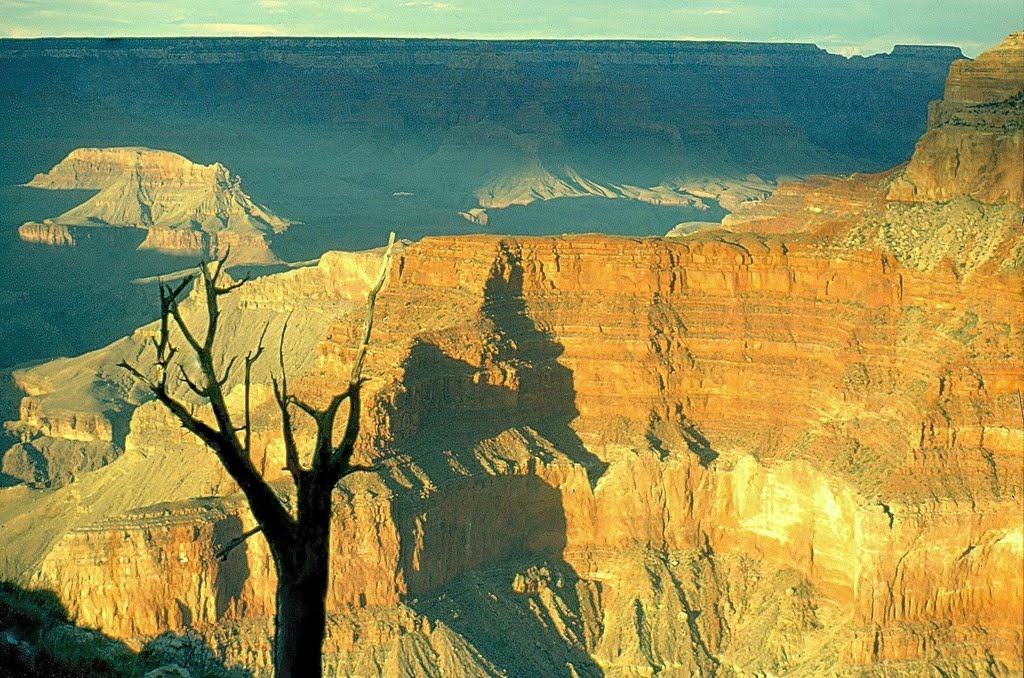 Grand Canyon evening light by hpjm